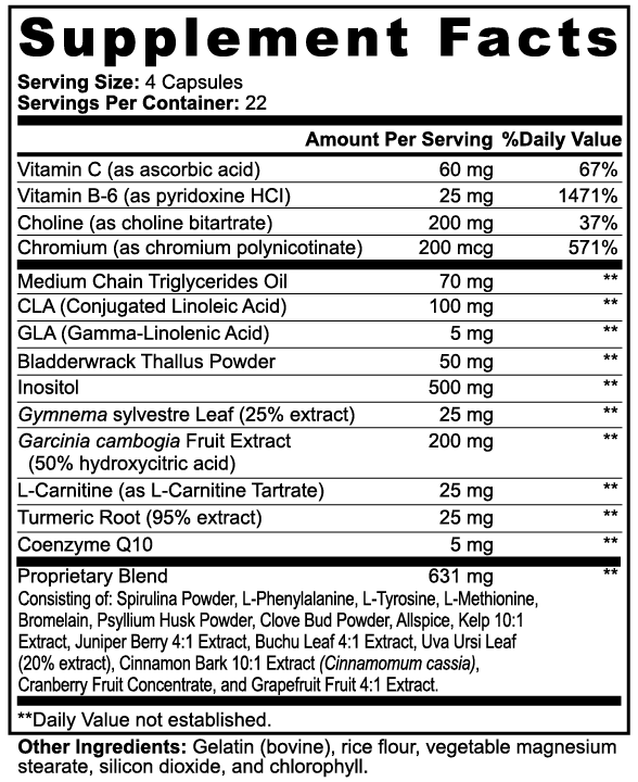 Lite Snaq- Fat Burner